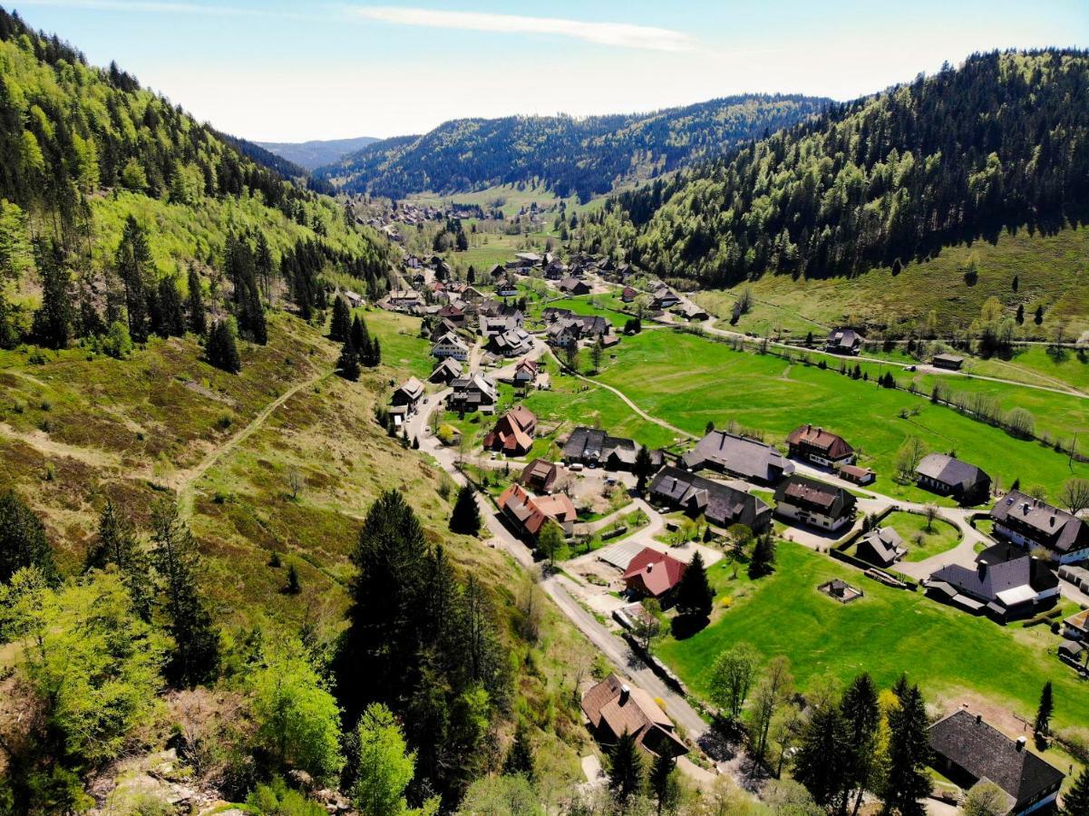 Apartament Gaestehaus Erika Menzenschwand-Hinterdorf